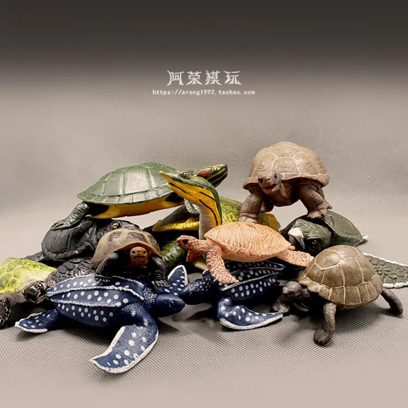 Leatherback Red-eared Turtle L - огляд і ціна Ocean Aquarium