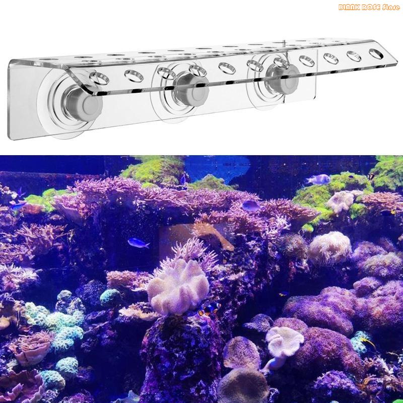 K1AE 32 Holes Coral Frag Rack  - огляд і ціна Reef Aquarium