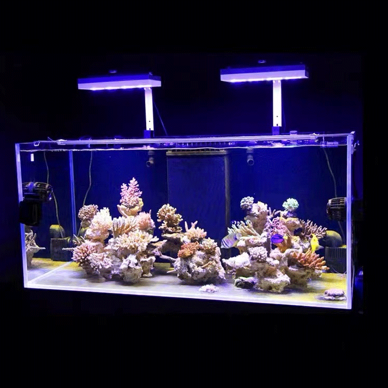 Aqua Illumination AI Hydra 32H - огляд і ціна Reef Lighting