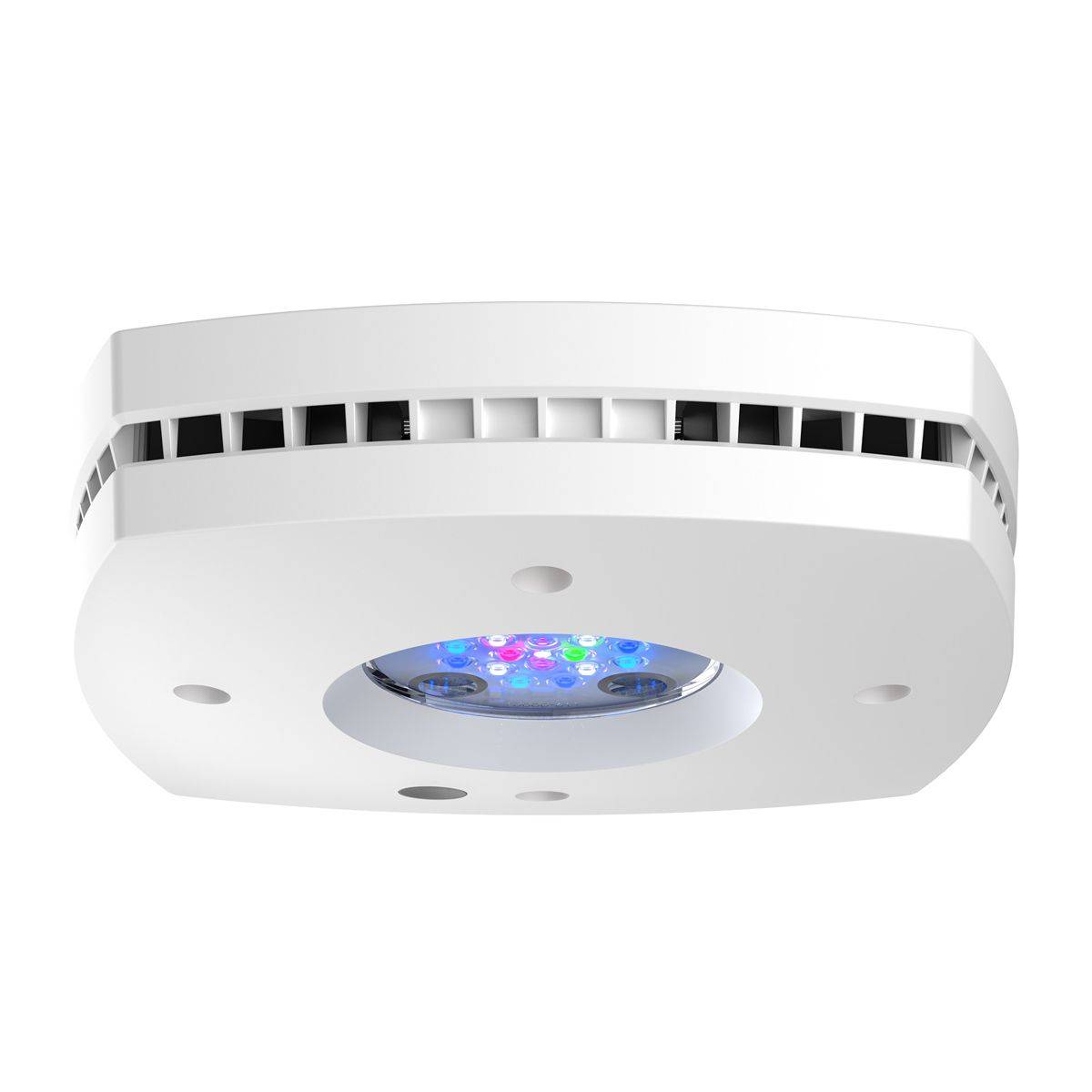 Prime 16 HD LED Reef Light, Or - огляд і ціна Reef Lighting