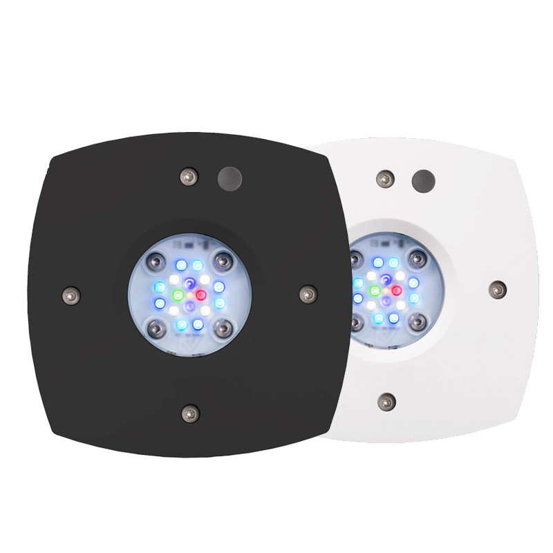 Prime 16 HD LED Reef Light, Or - огляд і ціна Reef Lighting