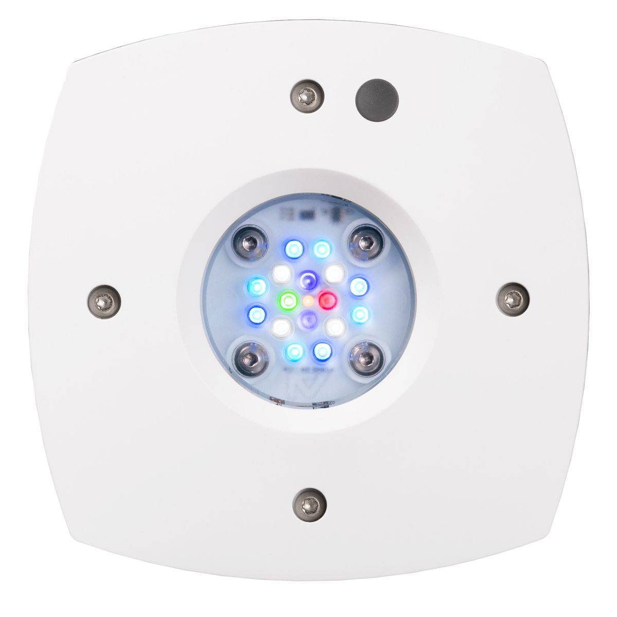 Prime 16 HD LED Reef Light, Or - огляд і ціна Reef Lighting