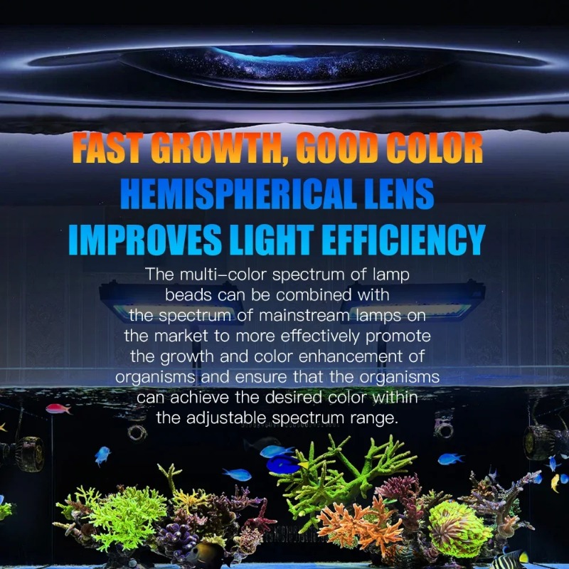 A8Pro II Max Coral Reef Marine - огляд і ціна Marine Coral